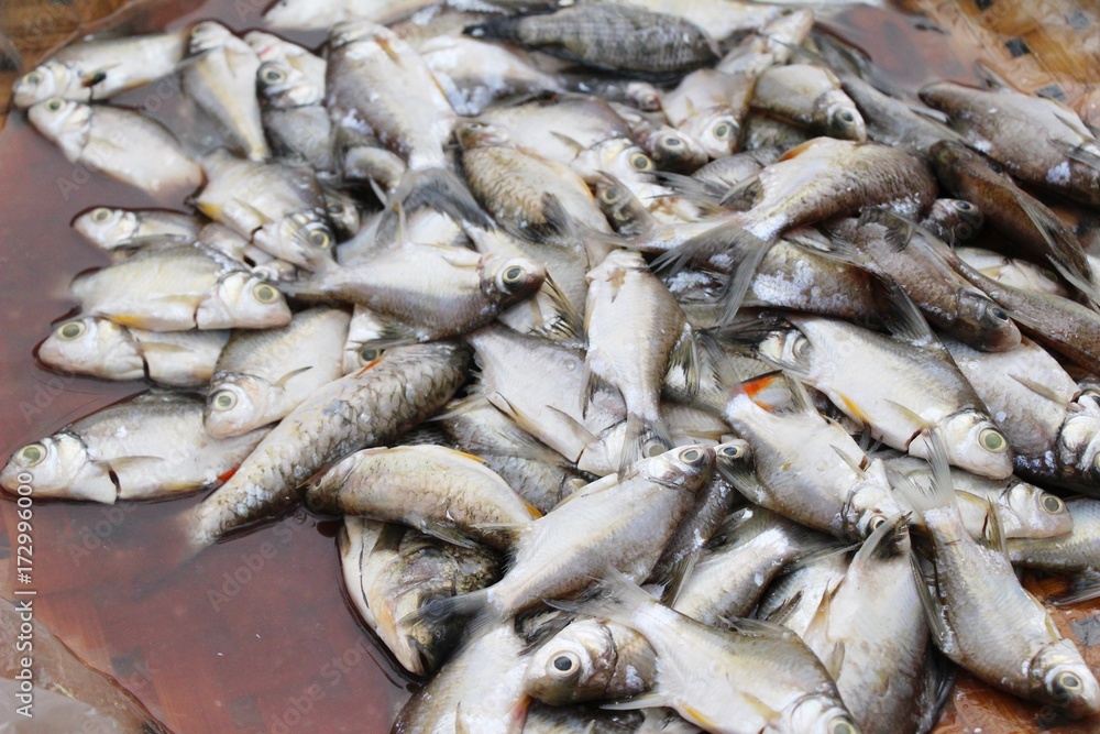Fresh fish for cooking in the market Fresh fish for cooking in the market