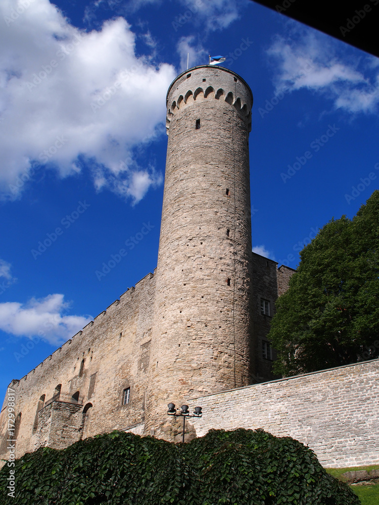 Tallin Tallin