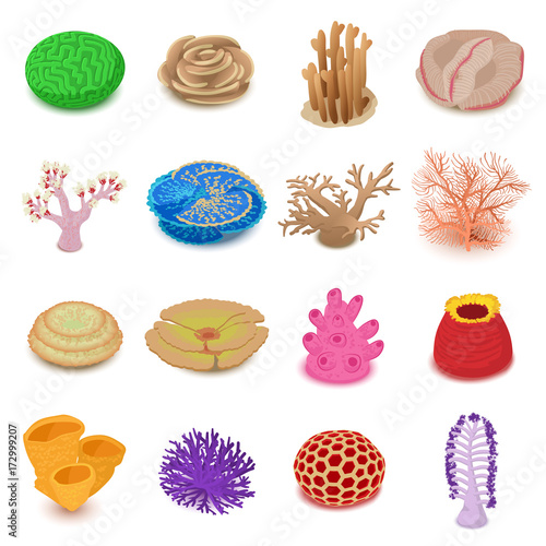 Photography Coral reef icons set, isometric style