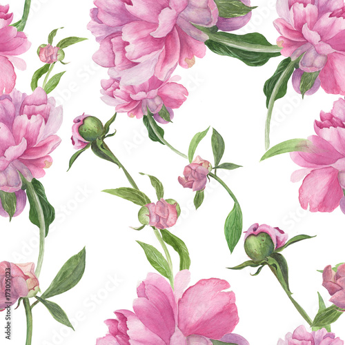 Watercolor. Collage of flowers and leaves on a white background. Flowers and buds of a pink peony. Decorative composition on a watercolor background. Seamless pattern.