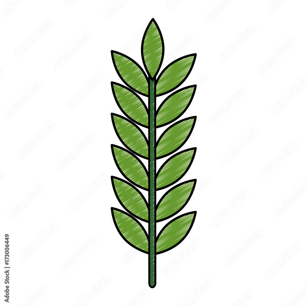 Fototapeta premium laurel leaf isolated icon