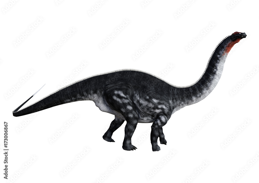 3D Rendering Dinosaur Apatosaurus on White 3D Rendering Dinosaur Apatosaurus on White