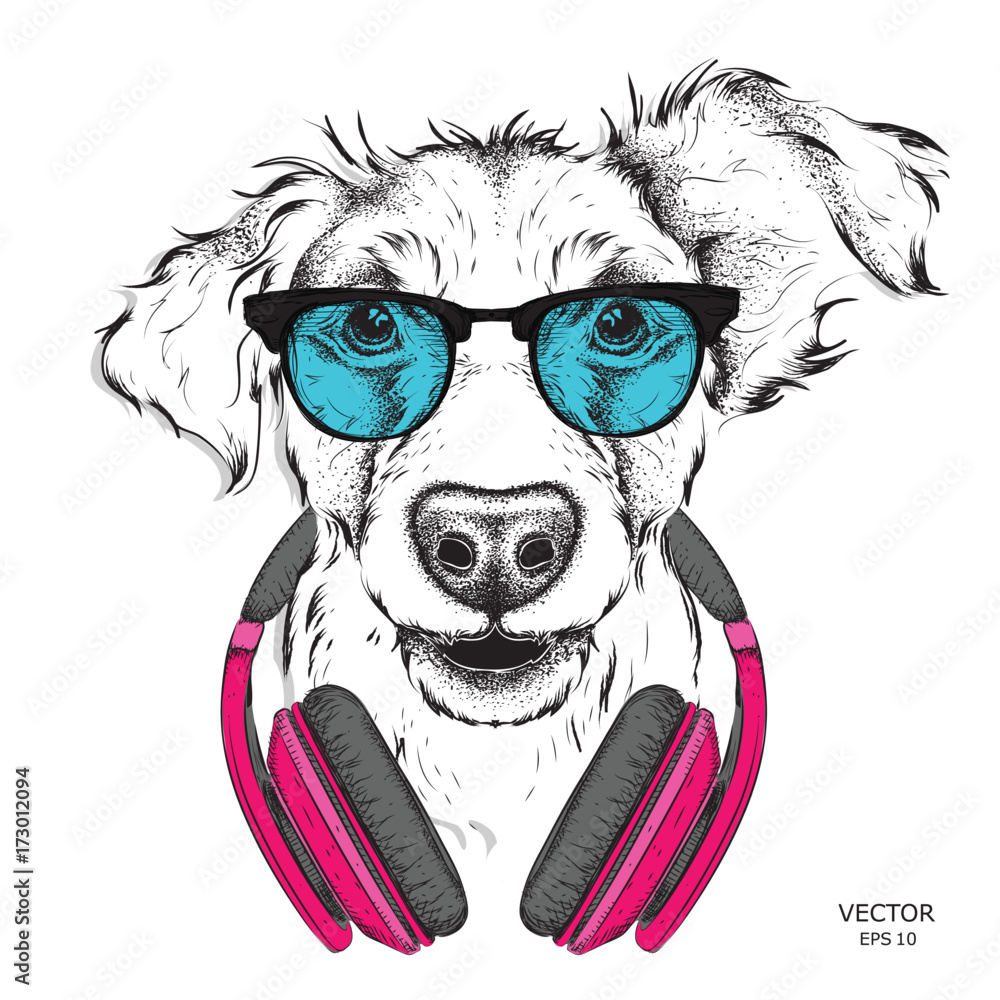 Fotografie Dog in glasses and headphones. Vector illustration.