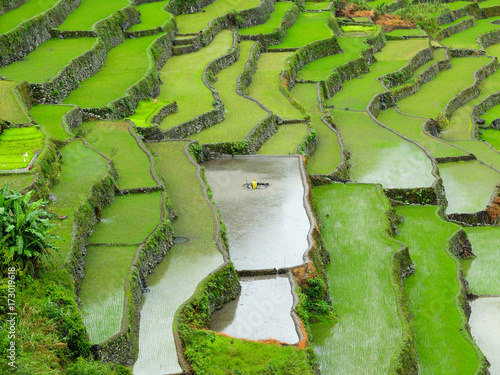 Vue aérienne de rizières en terrasse de Banaue avec cultivateur - Philippines  photo