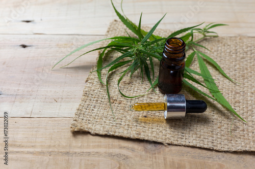 Medicinal cannabis with extract oil in a bottle