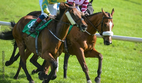 Two horses competing and galloping down the racetrack