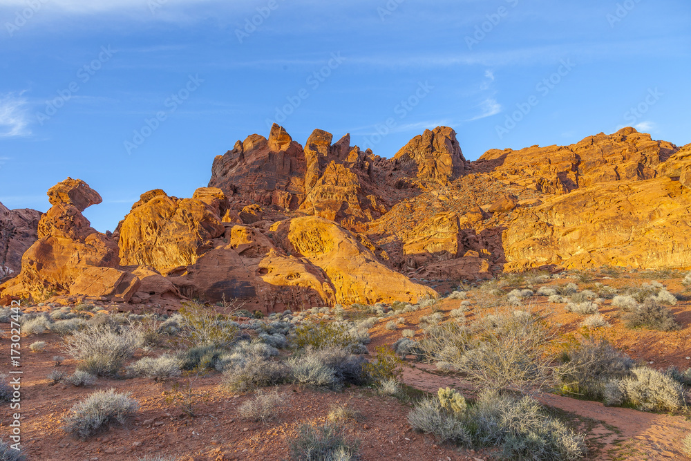 Fototapeta premium Valley of Fire State Park