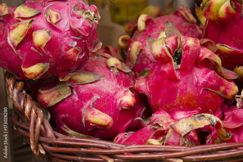 Indian fruit pitahaya
