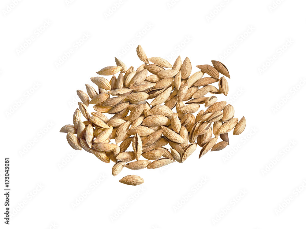 Obraz premium Almonds in shell isolated on white background. Lot of almonds in the skin, nuts pile. Prunus dulcis, hard shell with the seed. Top view