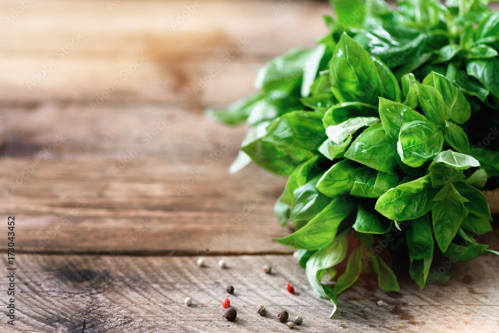 Green fresh organic basil on wooden background with copyspace. Herbs and spices for cooking Green fresh organic basil on wooden background with copyspace. Herbs and spices for cooking