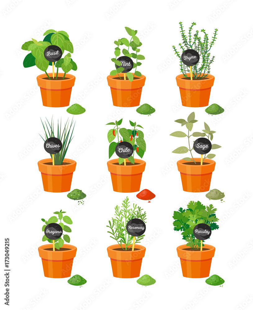 Set of Useful Herbs in Brown Pots with Labels Set of Useful Herbs in Brown Pots with Labels