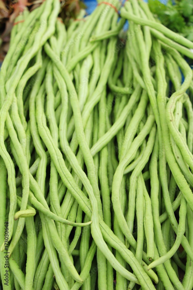 Long bean for cooking in the market Long bean for cooking in the market
