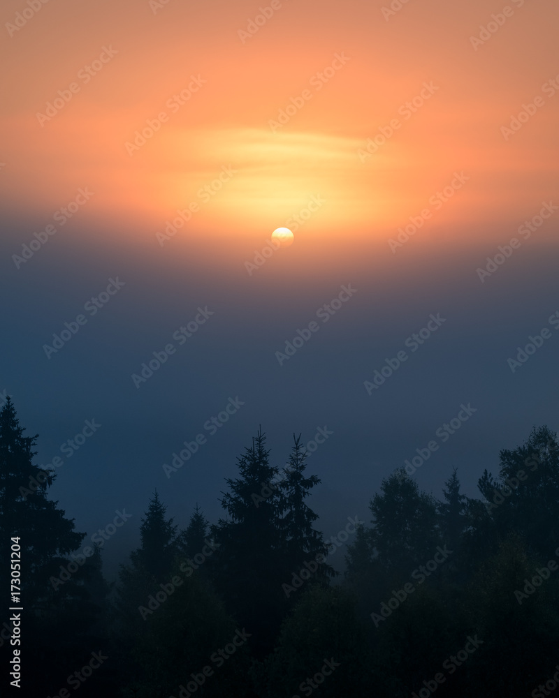 Sun is rising behind fog in Torronsuo national park, Finland