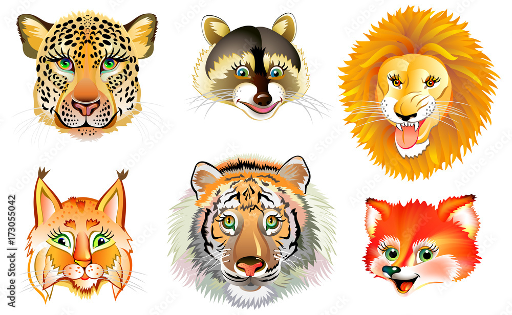 Fototapeta premium Set of different wild animals heads on white background. Vector cartoon image.