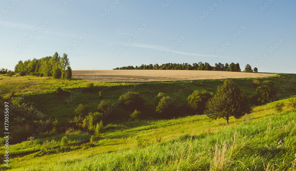 Sunny summer landscape with trees growing on the hillsides.Style of old film.Soft tones.