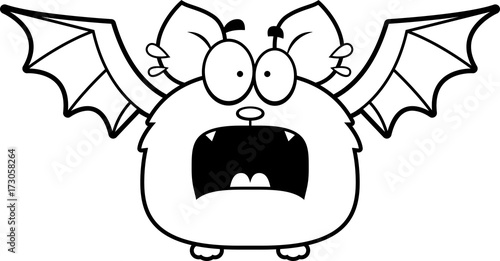 Terrified Little Bat
