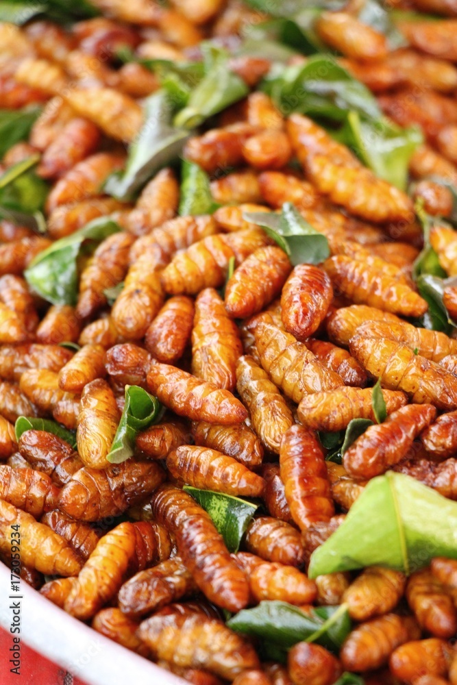 Fried silk worms delicious in street food Fried silk worms delicious in street food