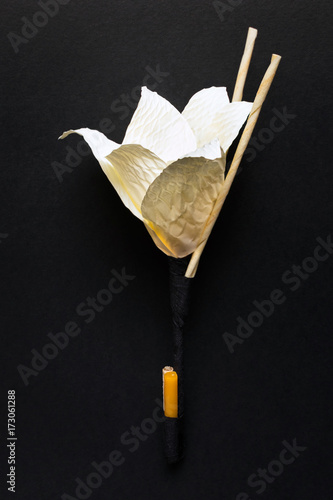 Fototapeta Naklejka Na Ścianę i Meble -  Kind of wood flower isolated on black background; to be placed on the site of cremation in Thailand. (Dok Mai Jan)