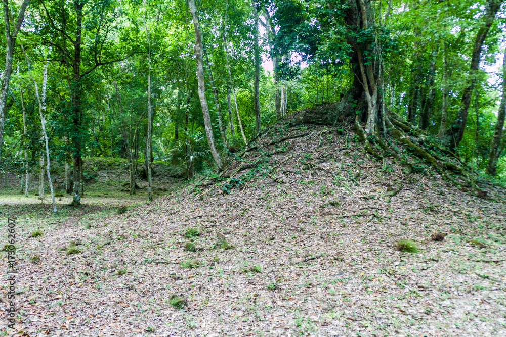 Fototapeta premium Ruins covered by a thick jungle at the archaeological site Yaxha, Guatemala