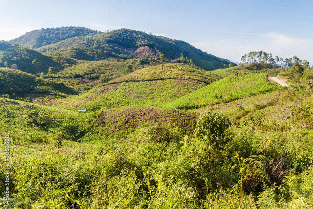 Obraz premium Landscape near Yalambojoch village, Guatemala
