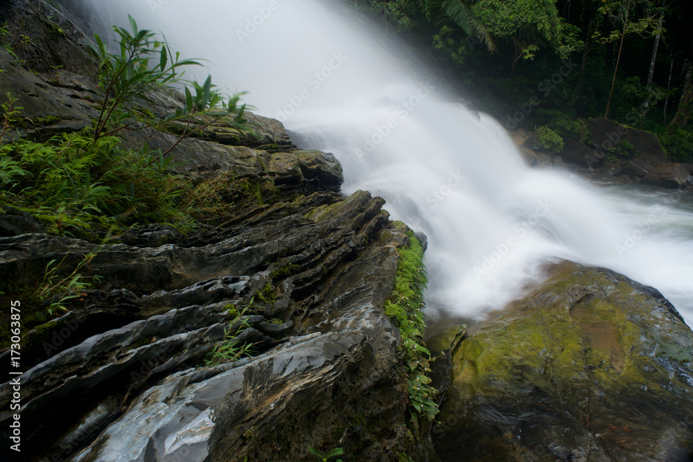 Fototapeta premium Waterfall