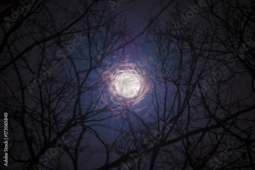 The full moon in cloudy sky seen through branches of tree at night © dr_verner