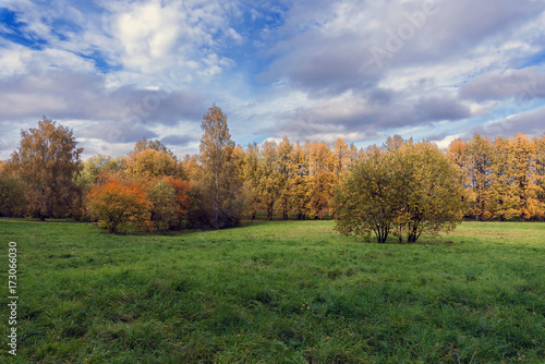 A green glade with trees covered with autumn foliage
