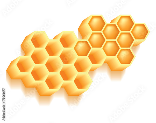 Honeycombs on white background