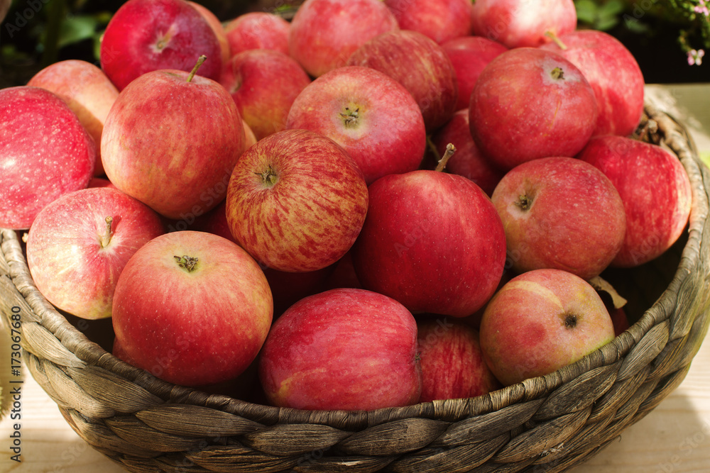 Wicker basket with raw organic red apples on autumnal seasonal farmer`s marke Wicker basket with raw organic red apples on autumnal seasonal farmer`s marke