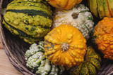 Variaty of strange decorative Haloween pumpkins on seasonal farmer`s market