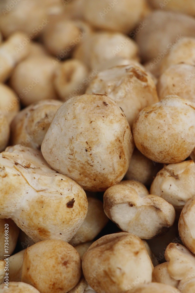 Fresh mushrooms for cooking in the market Fresh mushrooms for cooking in the market