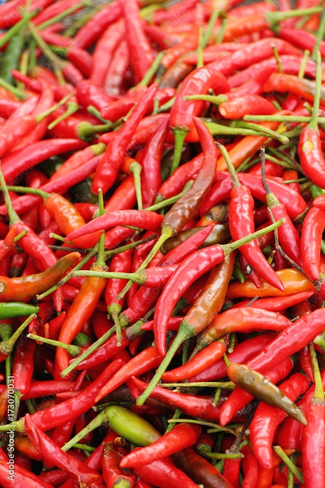 Fresh chilli for cooking in the market.