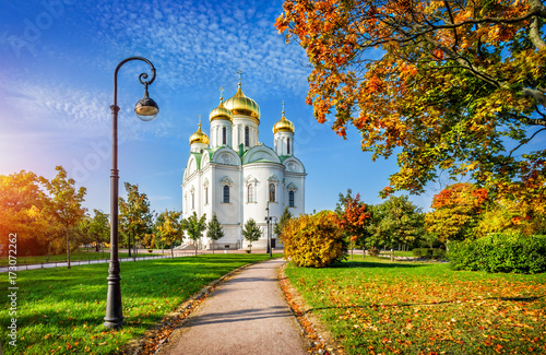 Ектерининский собор в Царском Селе Ekaterininsky Cathedral in Tsarskoe Selo photo