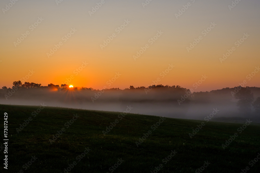 Foggy Sunrise Foggy Sunrise