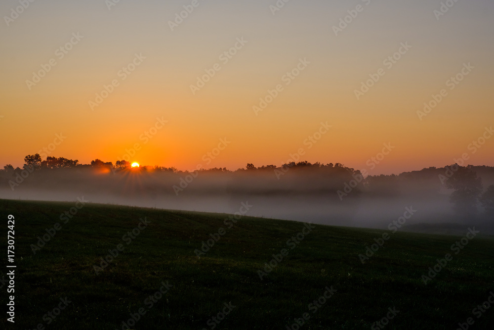 Foggy Sunrise