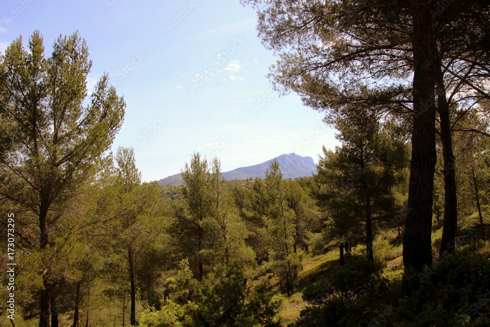 Obraz premium Sri Lanka