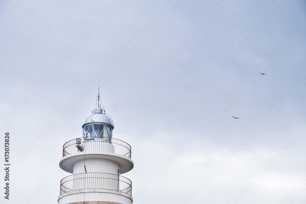 Seagulls flying around a lighthouse Seagulls flying around a lighthouse