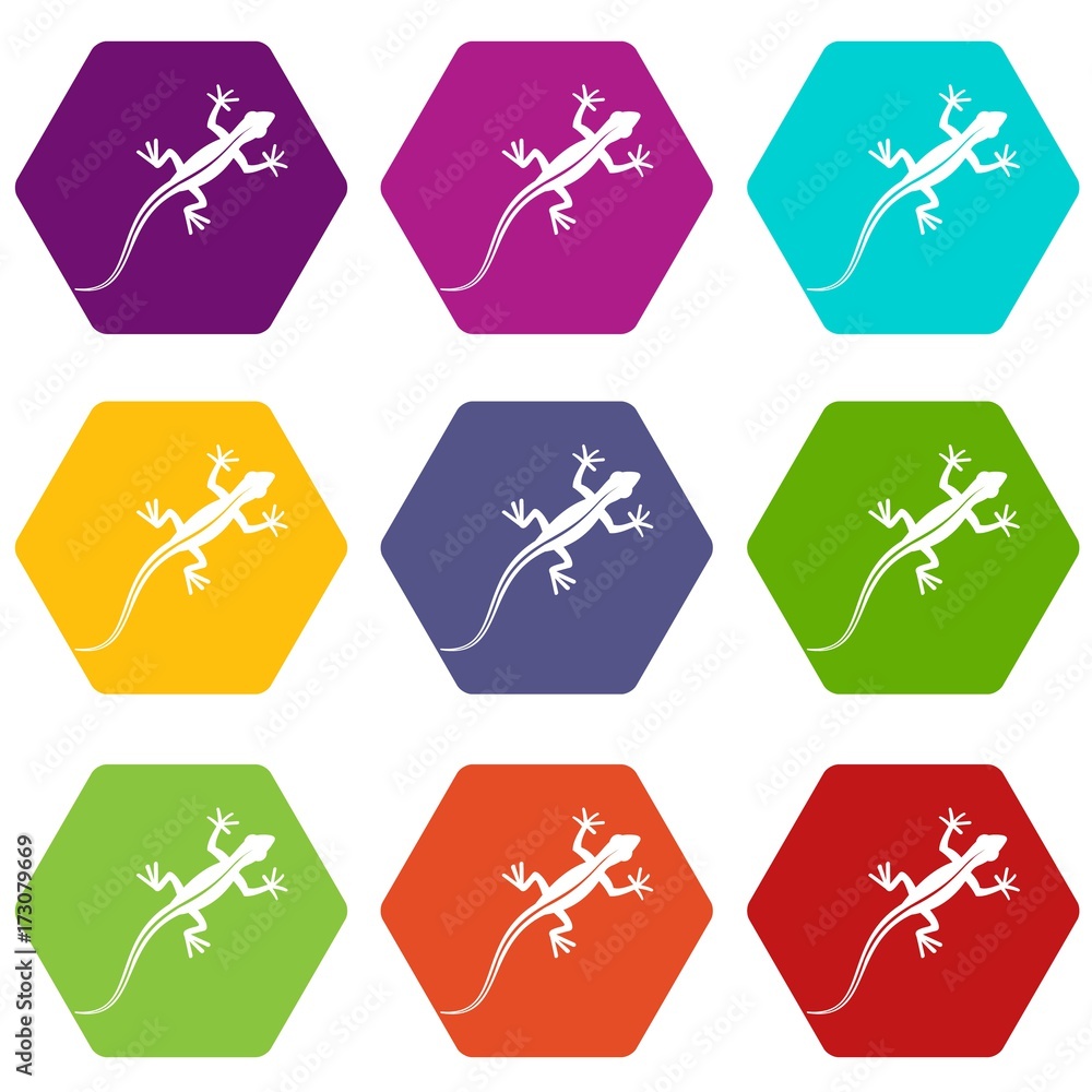 Lizard icon set color hexahedron Lizard icon set color hexahedron