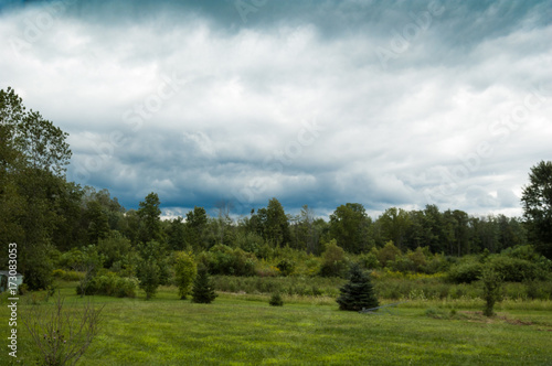 Storm over the field