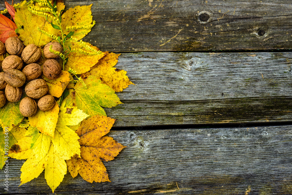 Autumn background with colored leaves and walnuts on old wooden boards. Copy of space for writing text.
