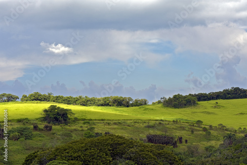 Landscape with green hill, forest and blue sky