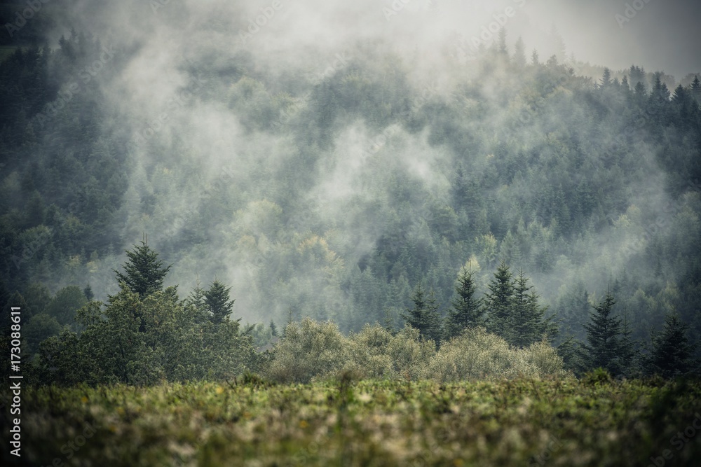 Foggy Hills Landscape Foggy Hills Landscape