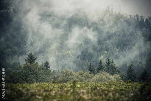 Foggy Hills Landscape © Tomasz Zajda