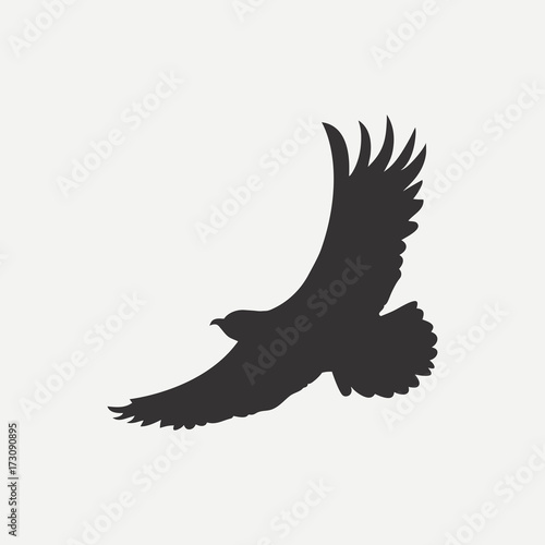 Eagle icon. Logo template. Bird of predator. Vector illustration.