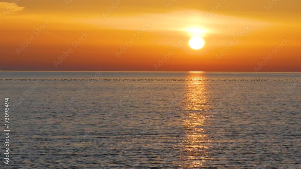 Flock of sea birds on water surfase, bright orange sky and big setting sun Flock of sea birds on water surfase, bright orange sky and big setting sun