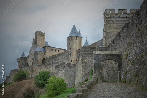 Castle of the Carcassonne