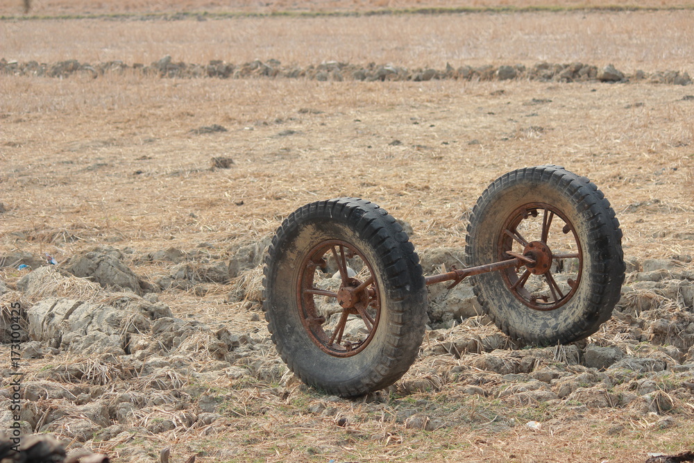 Fototapeta premium Two whells