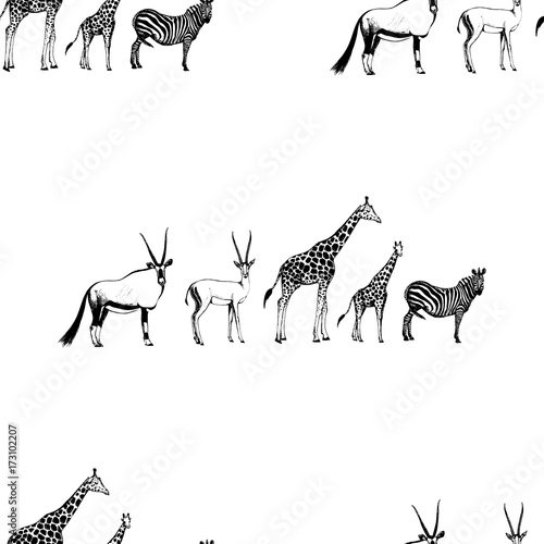 Seamless pattern of hand drawn sketch style oryx, gazelle, giraffe and zebra. Vector illustration isolated on white background.