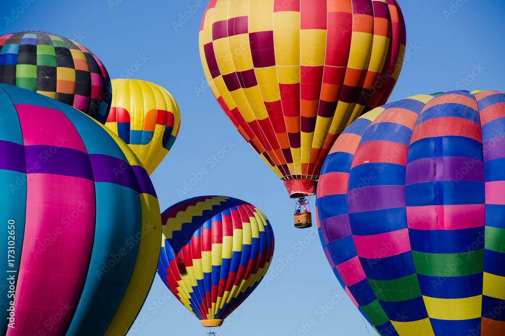 Naklejka premium Hot Air Balloon Festival 