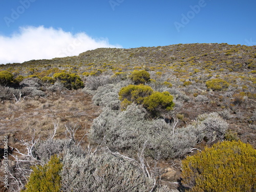 Sur les flancs du Grand Benard